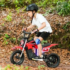 Cross Bike Kinder Pocketbike Crossbike mini Dirtbike elektro 350W Kindermotorrad