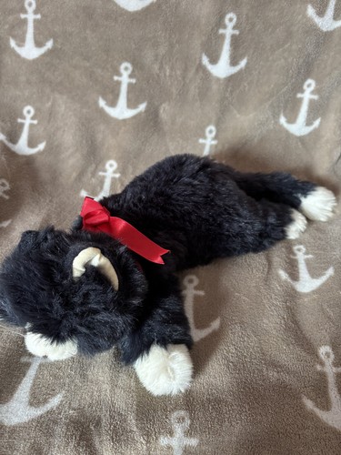 1989 katze liegend - ty,
