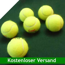 ◄► 6 Hunde-Tennisbälle