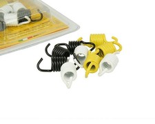 Kupplungsfedern MALOSSI -