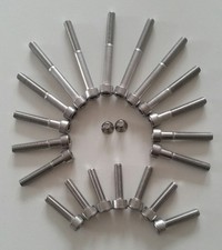 Set Motor Schrauben Fichtel & Sachs SM 51 150/175/200 Edelstahl NEU