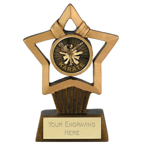 Kampfsport karate award mini - karate,