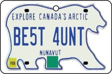 NUNAVUT - BEST AUNT LICENSE