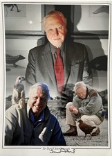 David Attenborough große A2