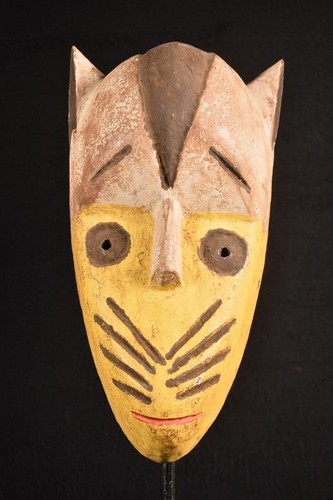 Afrikanische alte leopard - alte,