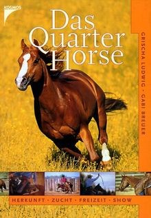 Das quarter horse herkunft - das, horse.