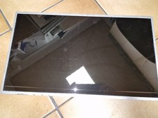 17,3" TFT Display für