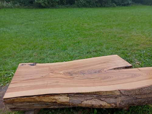 Xxl esche kernesche - xxl, esche/kernesche