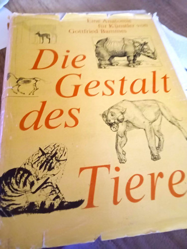 Gottfried bammes die gestalt - die,