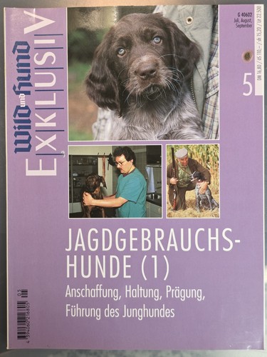 Wild und hund - hund, exklusiv