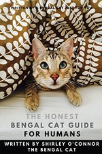 The honest bengal - honest, cat