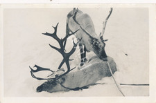 Foto WK2 Wehrmacht Weserübung