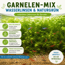 Garnelen Mix Wasserlinsen