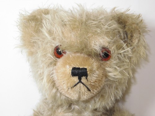 Alter teddy von hermann - teddy,