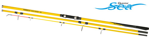 Quantum torrent beach fighter - beach,