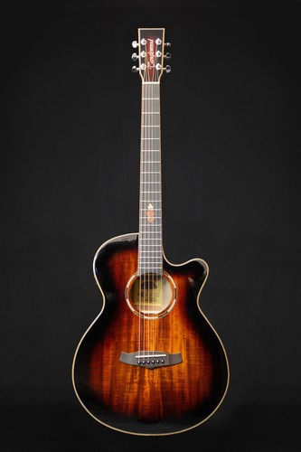 Tanglewood twx4cek winterleaf - twx4cek,