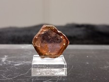 Turmalin-Elbait Scheibe poliert 16,5 Karat - Minas Gerais - Brasilien