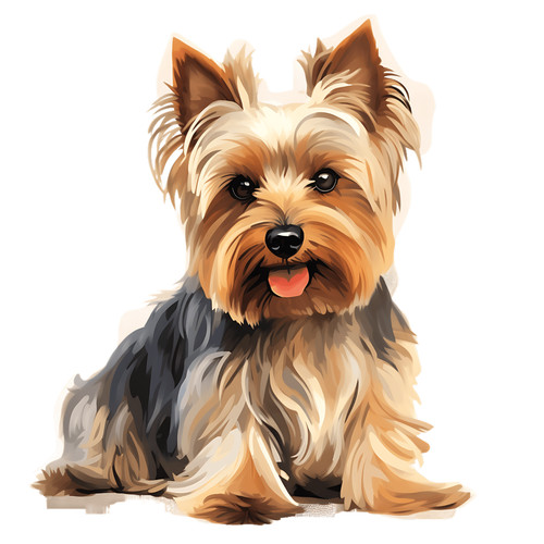 Yorkshire terrier auto - terrier,