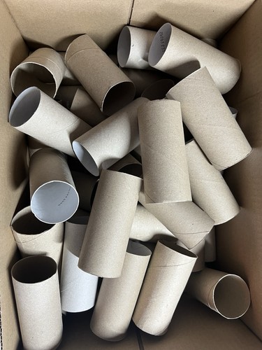 Toilettenpapierrollen leer - 50,