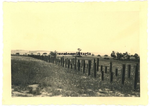 Orig foto maginotlinie - foto,
