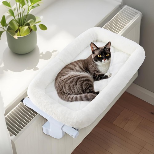 Guusii home katzen - home,