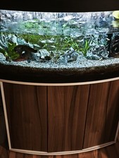 Aquarium komplett mit