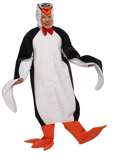 Tollpatschiger pinguin größe - pinguin,