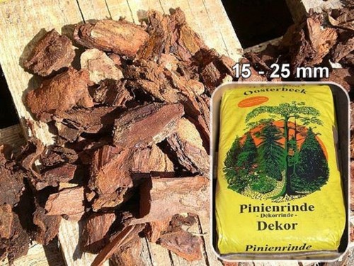 Französische pinienrinde - französische,