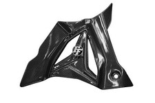 Carbon Ritzelabdeckung für