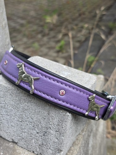 Hundehalsband 55cm bullterrier - hundehalsband,