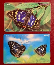 JAPAN___Schmetterling