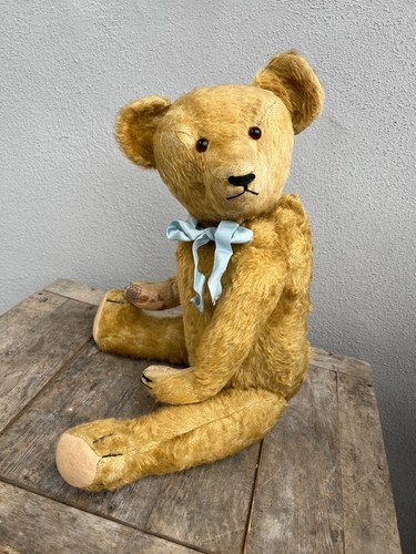Süßer alter teddybär - süßer,
