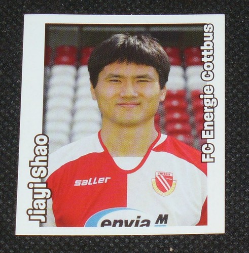 Jiayi shao panini sticker - jiayi,