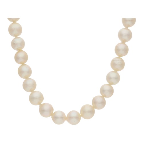 Akoya perlenkette weißgold - perlenkette,