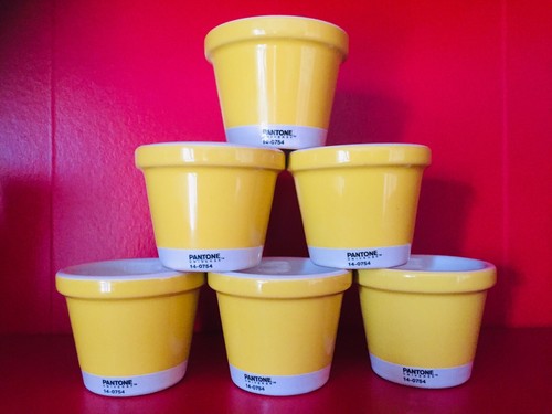 Pantone 0754 set - 14-0754, tassen