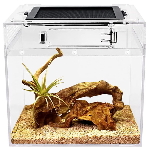 Faunarium 8x8x7 terrarium - faunarium,