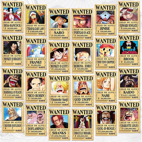 One piece wanted poster - one,