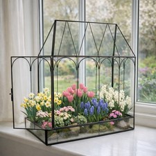 Anzucht Haus Mini Treibhaus