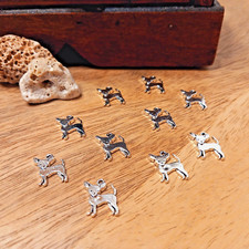 10 Chihuahua Hund / Hunde