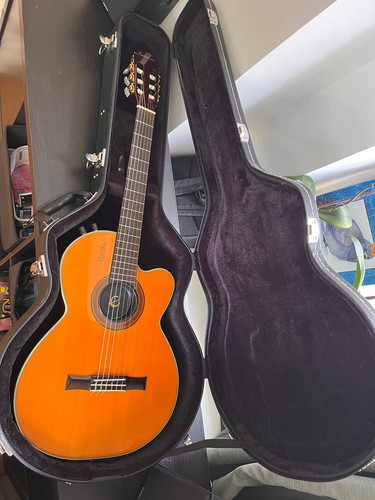 Epiphone chet atkins - chet, cec