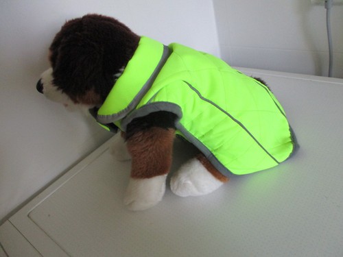 Kleiner hundemantel hunde - hundemantel,