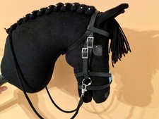 Hübsche Mexikanische Hobby