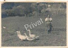 Foto wehrmacht - ii,