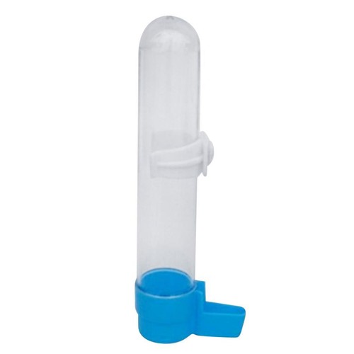 Vogel-Haustier-Wassertrinker-F