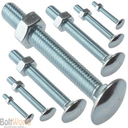 6 mm kutschenschrauben - mm,