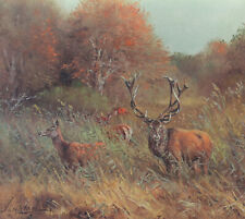 Rothirsch Rotwild Brunft Rudel 42 x 37 cm Jagdmalerei Jagdbild v. Karl Snethlage