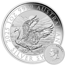 Schwan 2025 silbermünze 1oz - silbermünze,