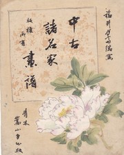 Blütenzweig - Kanno Schule - 1894 - Farbholzschnitt - Japan - Ukiyo-e