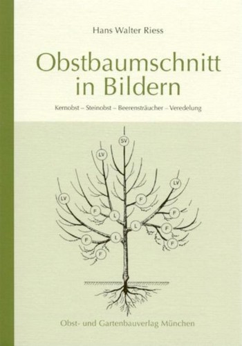 Obstbaumschnitt bildern - obstbaumschnitt,