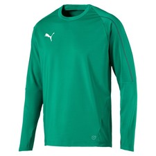 Puma FINAL Training Herren